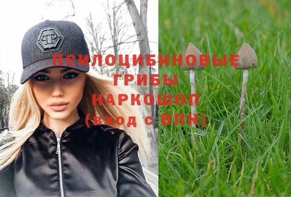 скорость Алексеевка
