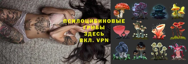 скорость Алексеевка