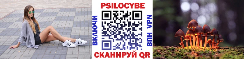 купить наркоту  Зуевка  Галлюциногенные грибы MAGIC MUSHROOMS 